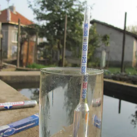 B&B Rogozen Guesthouse *