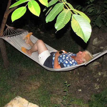 Bed and breakfast Rogozen Guesthouse *
