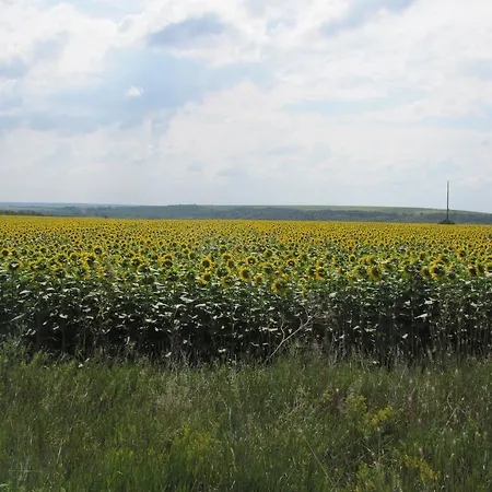 B&B Rogozen Guesthouse *