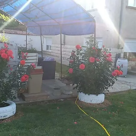 Rogozen B&B Bed & Breakfast *
