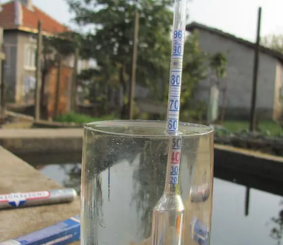 Panzió Rogozen Guesthouse *